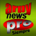 Arpy News Pro